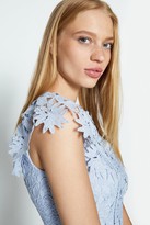 Thumbnail for your product : Coast Lace Angel Sleeve Dress
