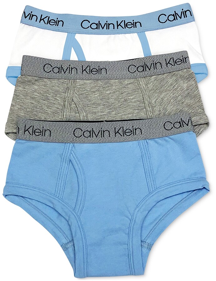 Calvin Klein Little Boy's Kids Modern Cotton Assorted Boxer Briefs  Underwear, Multipack, 2 Pack-CK Logo Print Blue Bell, Blue Bell, 6-7