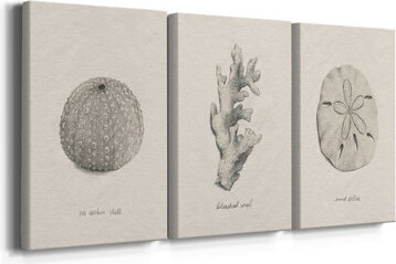 Bayou Breeze Shore Treasure Study I -Custom Wrapped Gallery Canvas - 3 Pieces