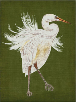 Heron Plumage I On Canvas by Melissa Wang Canvas Art