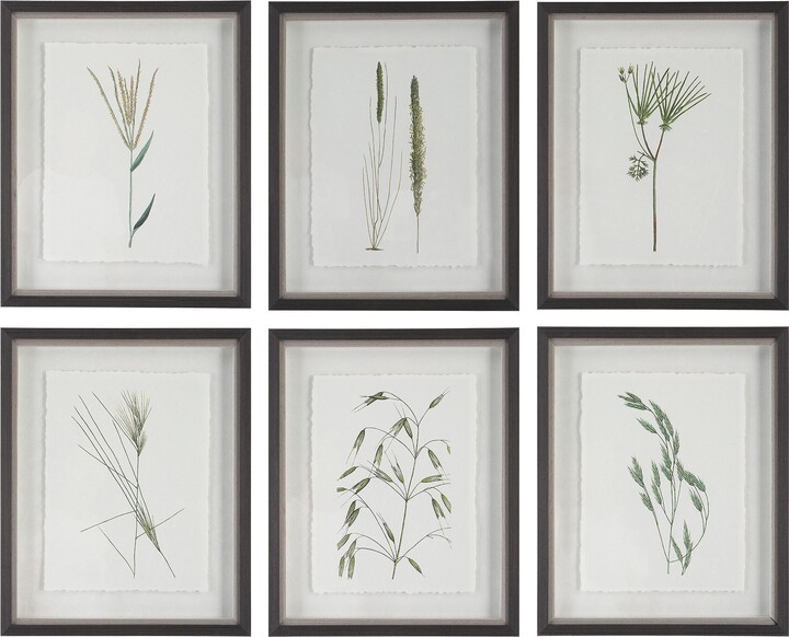Uttermost Forest Finds 22" High 6-Piece Framed Wall Art Set