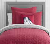 Thumbnail for your product : Pottery Barn Kids Euro Sham