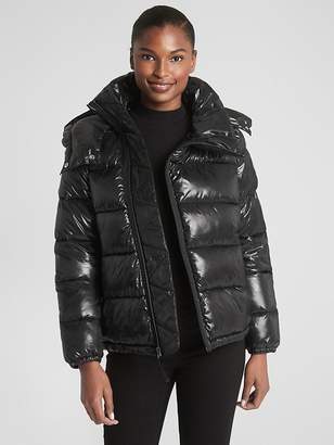 gap shiny puffer