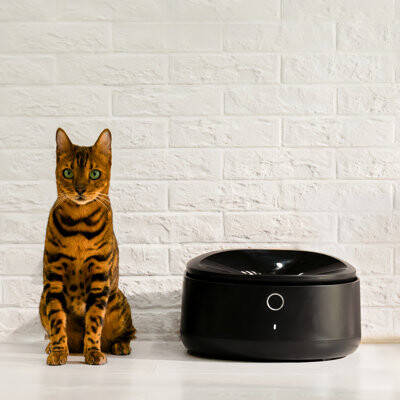 PETLIBRO Polar Auto Wet Food Feeder with Smart Phone Control, Black