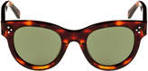 Thumbnail for your product : Celine Studded Acetate Sunglasses w/ Mineral Lenses, Brown