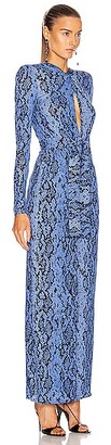 Dundas Long Sleeve Maxi Dress in Animal Print,Blue