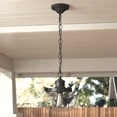 Andover Mills Enmore 1-Light Outdoor Pendant