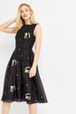 Thumbnail for your product : Oasis Summer Bloom Embroidered Dress