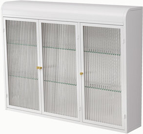 Latitude Run Arched Wall Mounted Glass Door Storage Cabinet