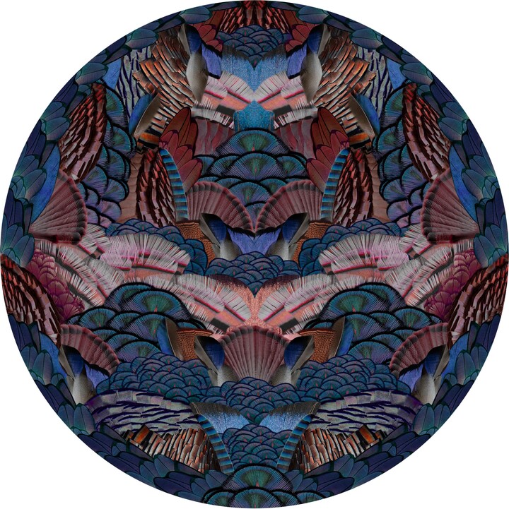 Moooi Large Extinct Animals Calligraphy Bird Rug In Low Pile Polyamide