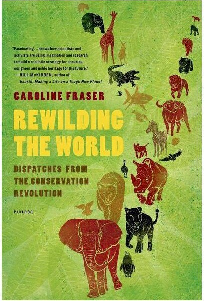 Picador USA Rewilding the World - by Caroline Fraser (Paperback)