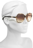 Thumbnail for your product : Kate Spade Women's Jolyn 58Mm Gradient-Lens Sunglasses - Havana/ Black