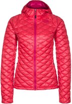 Thumbnail for your product : The North Face THERMOBALL PRIMALOFT Down jacket rambutan pink
