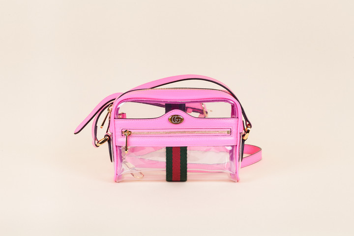 ophidia mini transparent bag