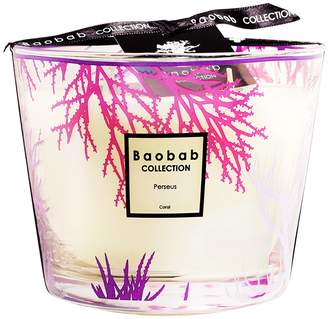 Baobab Collection Max 10 Perseus Scented Candle (18 oz)