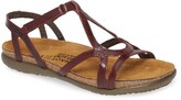Thumbnail for your product : Naot Footwear Dorith Sandal