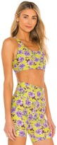 Thumbnail for your product : Beach Riot Rocky Sports Bra