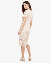 Thumbnail for your product : Phase Eight Darena Dress