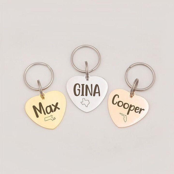 Anavia Stainless Steel Double Sided Heart Name and State Icon Engraved Dog & Cat ID Tag, Multi-color, M