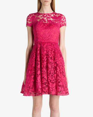 Ted Baker CAREE Floral lace dress