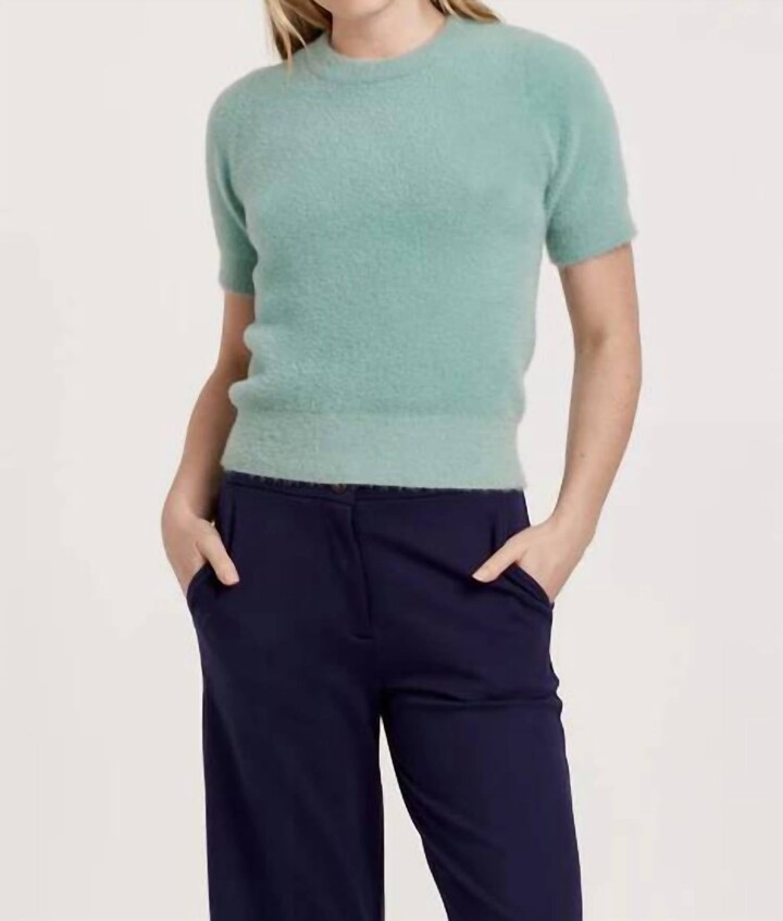 Another Love Suzie Fuzzy Short Sleeve Sweater Top In Herbal Blue