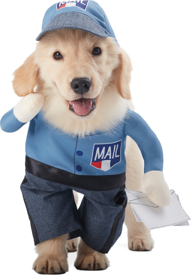 Witch Crafters Mailman Pet Costume - ShopStyle