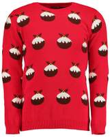 Thumbnail for your product : boohoo Charity All Over Christmas Pudding Jumper