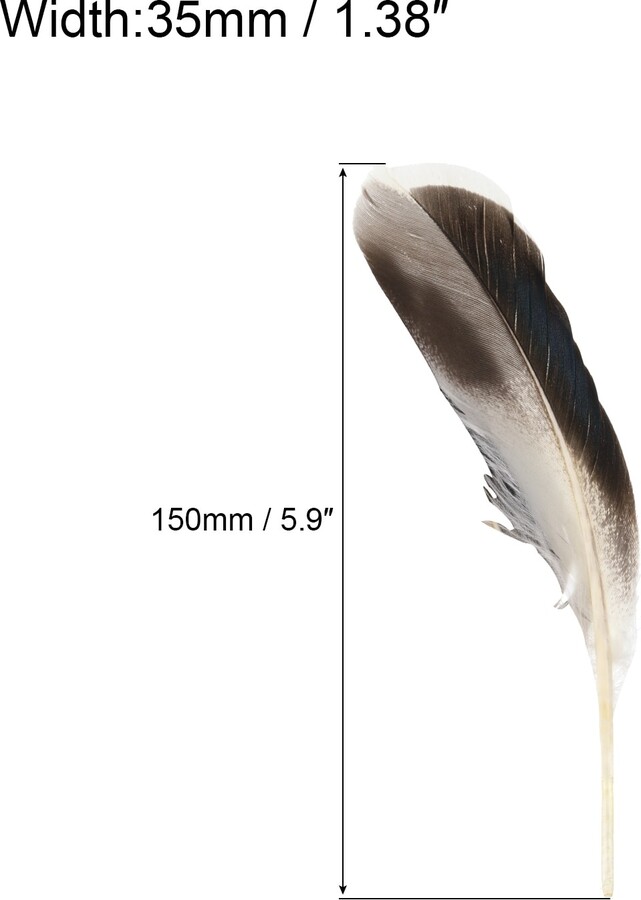 Unique Bargains 4-6 Inch Natural Feathers 250 Pack Bulk Feathers for Crafts  Style 2, Black White - Black, White, Grey - ShopStyle Artwork