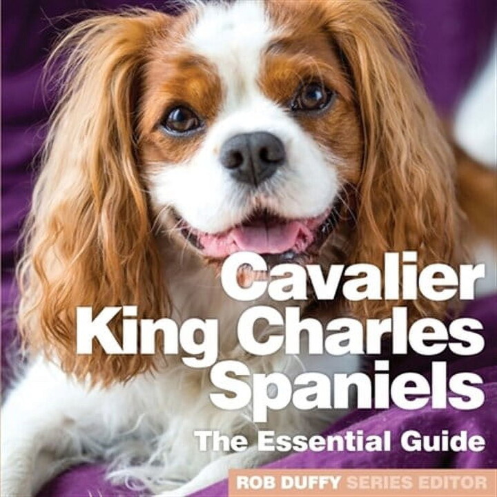 Cavalier King Charles Spaniels: The Essential Guide (Paperback)