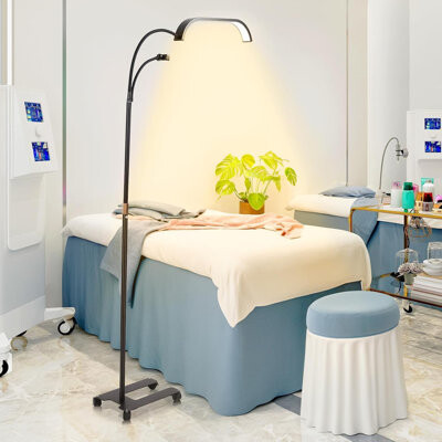 Brayden Studio Adjustable LED Floor Lamp With Phone Holder For Eyelash Extensions, Makeup, Salon, And Spa