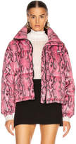 Thumbnail for your product : MSGM Snake Print Jacket in Fuchsia | FWRD