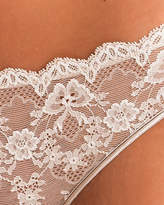 Thumbnail for your product : Paladini Pizzo Passiflora Panty