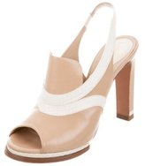 Thumbnail for your product : Chloé Snakeskin-Trimmed Peep-Toe Pumps