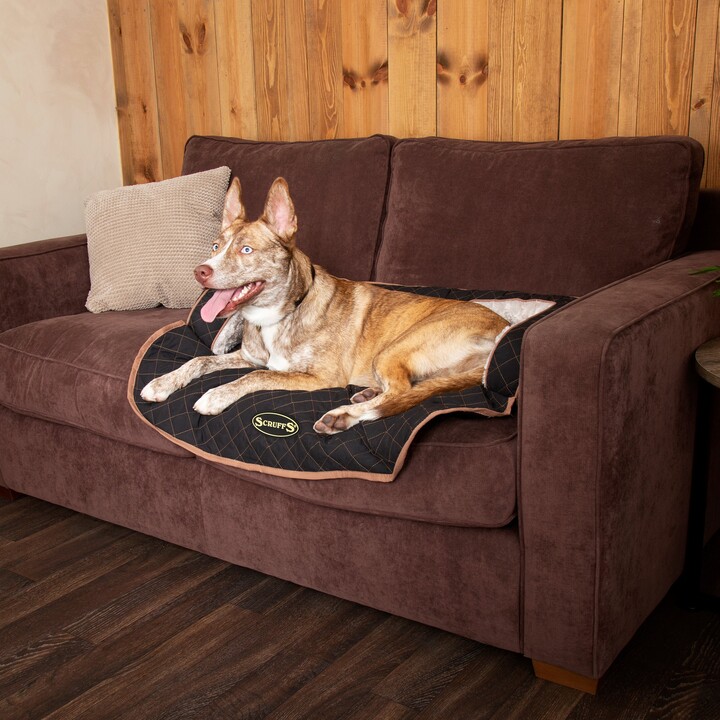 Scruffs Wilton Sofa Dog Bed Black ShopStyle