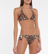 Thumbnail for your product : Dolce & Gabbana Leopard-print bikini bottoms