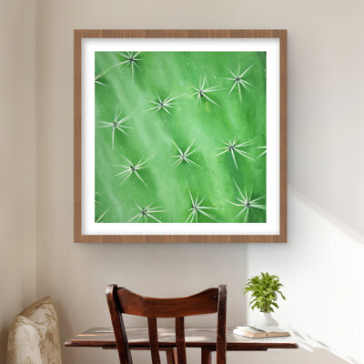 Lark Manor Cactus Closeup - Framed Matted Print for Office Decor