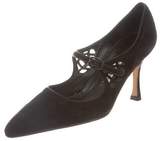 Thumbnail for your product : Manolo Blahnik Pointed-Toe Suede Pumps