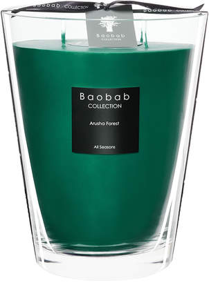 Baobab Collection All Seasons Scented Candle