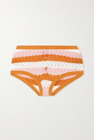 Thumbnail for your product : Dodo Bar Or Striped Pointelle-knit Briefs