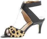 Thumbnail for your product : J. Renee Soncino Women's