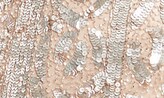 Thumbnail for your product : Mac Duggal Embellished Long Sleeve Evening Gown