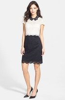 Thumbnail for your product : Betsey Johnson Collared Colorblock Lace Sheath Dress