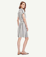 Thumbnail for your product : Ann Taylor Double Stripe Shirtdress