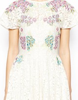 Thumbnail for your product : ASOS Skater Dress In Bright Embroidery