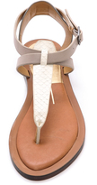 Thumbnail for your product : Dolce Vita Fabia Flat Sandals