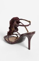 Thumbnail for your product : AERIN 'Collonade' Sandal