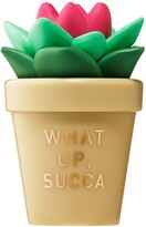 Thumbnail for your product : Taste Beauty Succulent Lip Balm