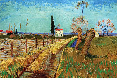 Vault W Artwork 'Path Through a Field with Willows' by Vincent Van Gogh Painting Print