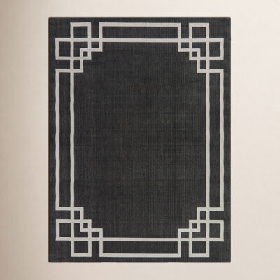 Birch Lane Cecilia Black/White Indoor/Outdoor Area Rug