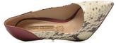 Thumbnail for your product : Buffalo David Bitton Women's Loea Pointed Toe High Heels In Multicolor - Size Uk 5.5 / Eu 39